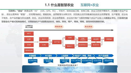 智慧農業整體解決方案 驅動環保技術推廣的未來之路
