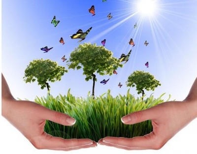 吳道洪 以節(jié)能減排技術(shù)創(chuàng)新與推廣服務(wù)，為中國實體經(jīng)濟(jì)注入綠色新動力